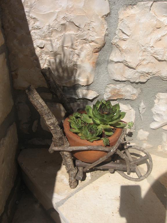 Apartment Baladur Umag Dış mekan fotoğraf