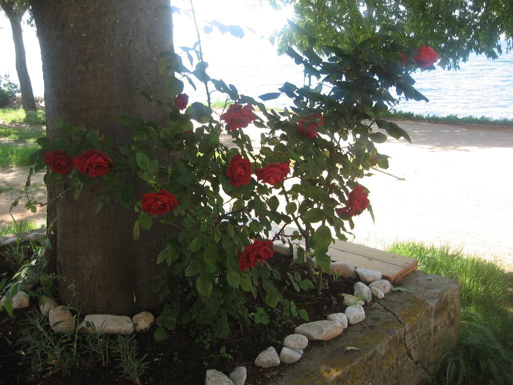 Apartment Baladur Umag Dış mekan fotoğraf
